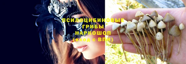эйфоретик Белокуриха
