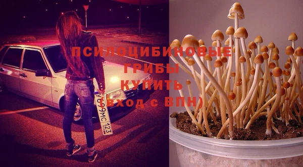 spice Беломорск