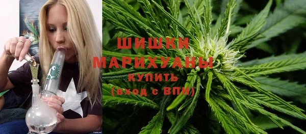 эйфоретик Белокуриха