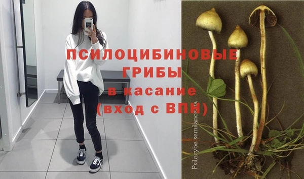 spice Беломорск