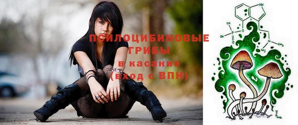spice Беломорск