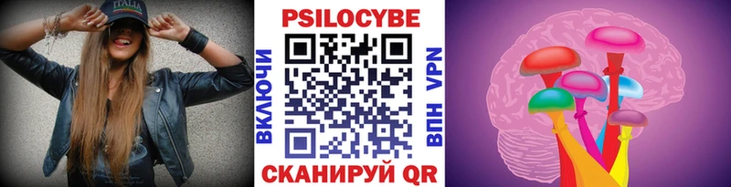 Галлюциногенные грибы Cubensis  где купить   Брюховецкая 